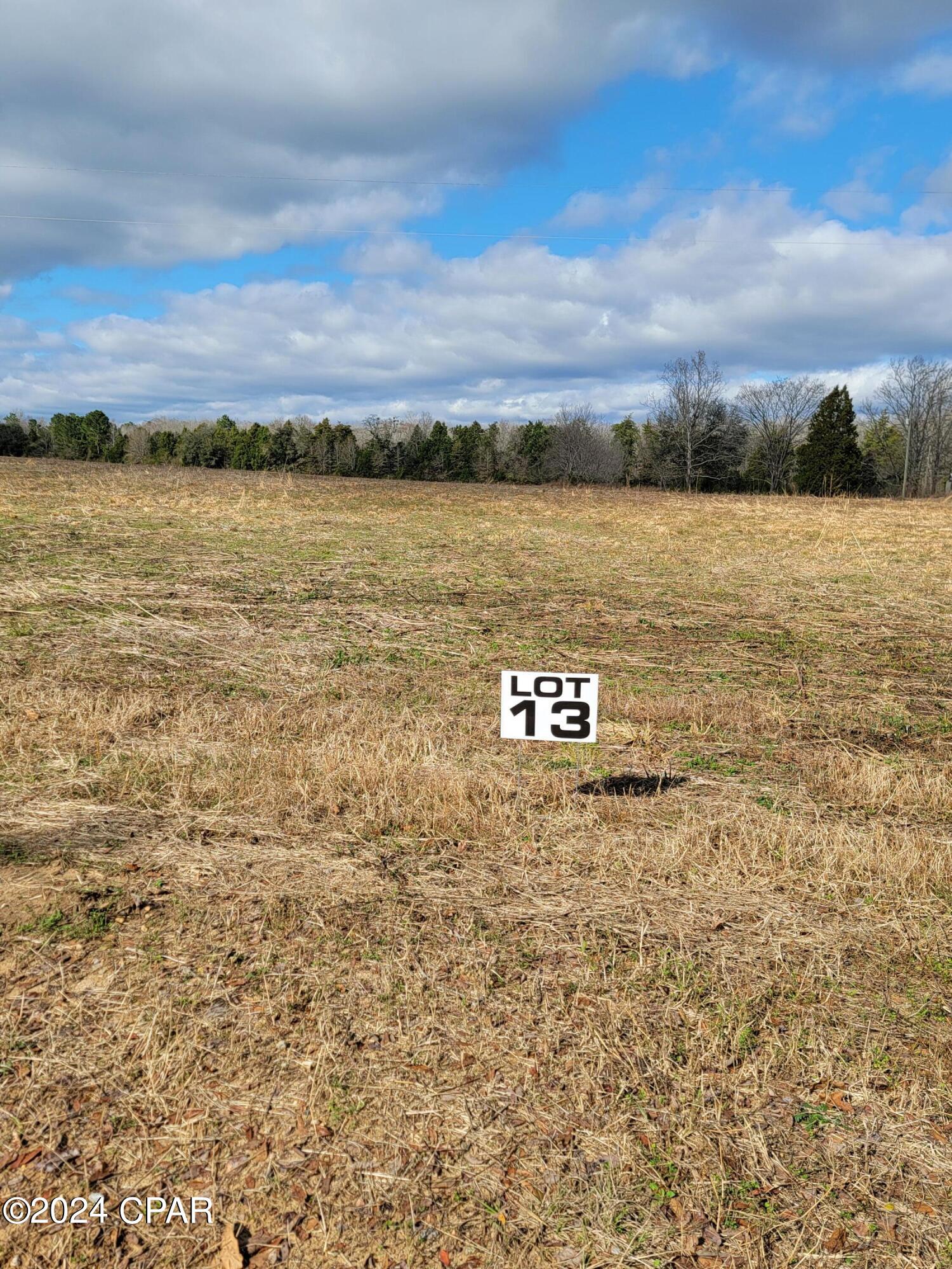 Lot #13 Creek Road, Bonifay, FL 32425