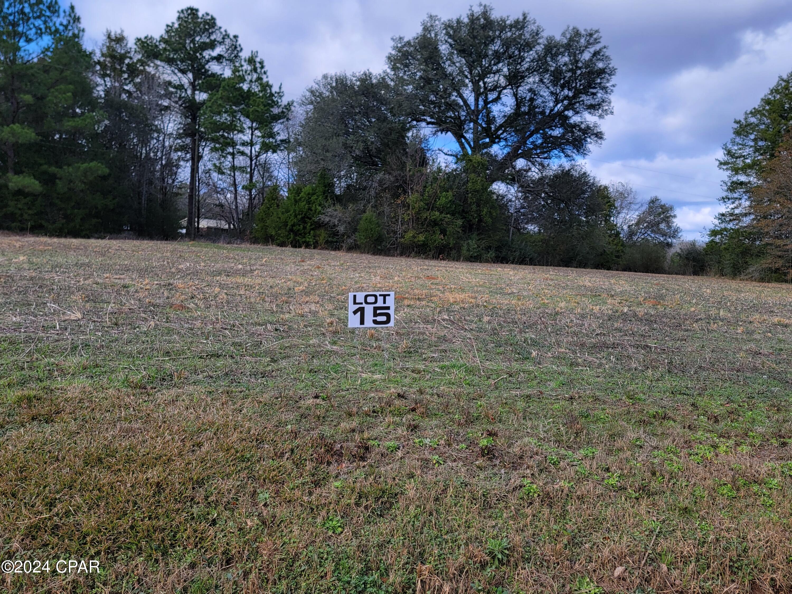 Lot #15 Creek Road, Bonifay, FL 