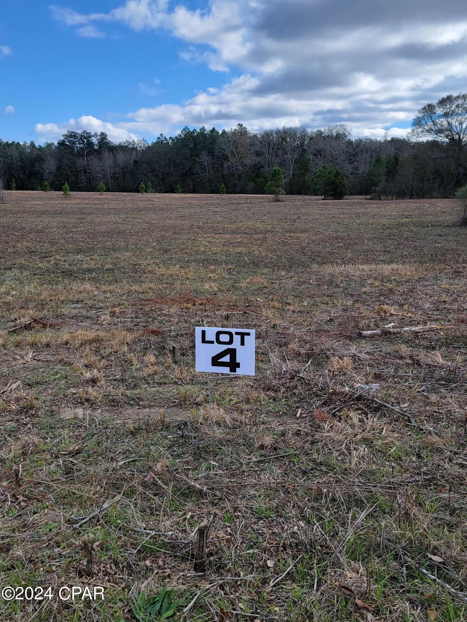 Lot #4 Creek Road, Bonifay, FL 