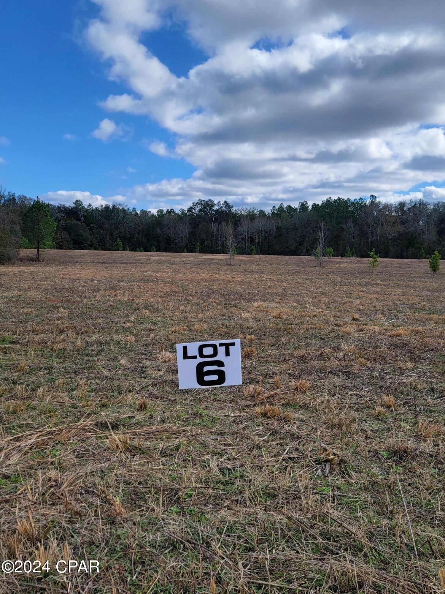 Lot #6 Creek Road, Bonifay, FL 