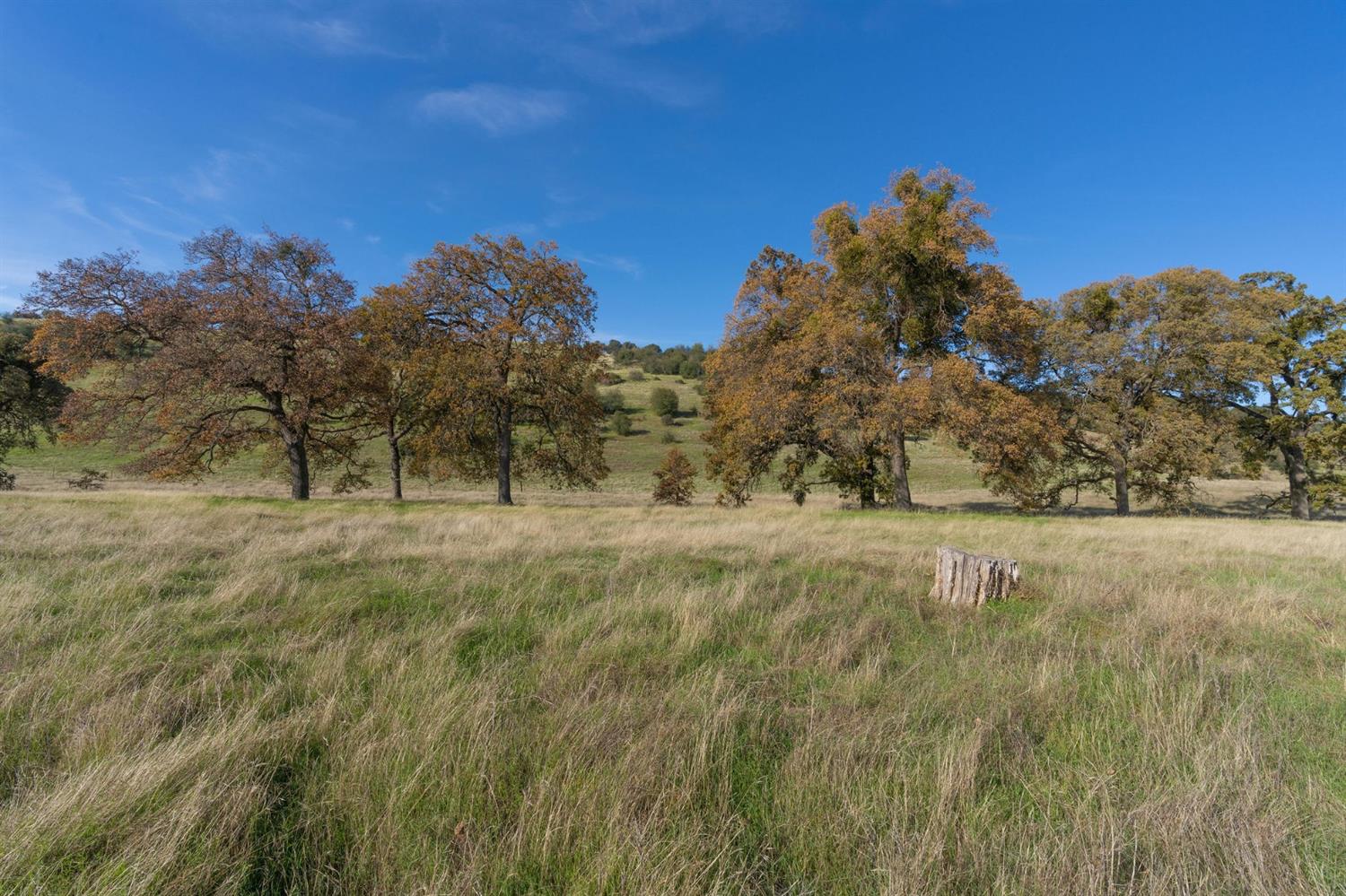 2591 Highway 4, Angels Camp, California 95222, ,Land,For Sale,Highway 4,2005267