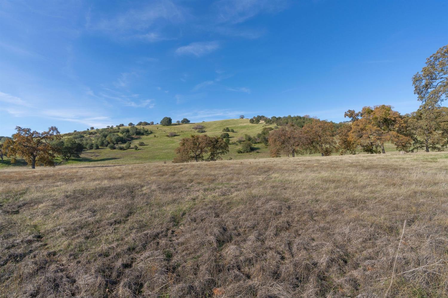 2591 Highway 4, Angels Camp, California 95222, ,Land,For Sale,Highway 4,2005267