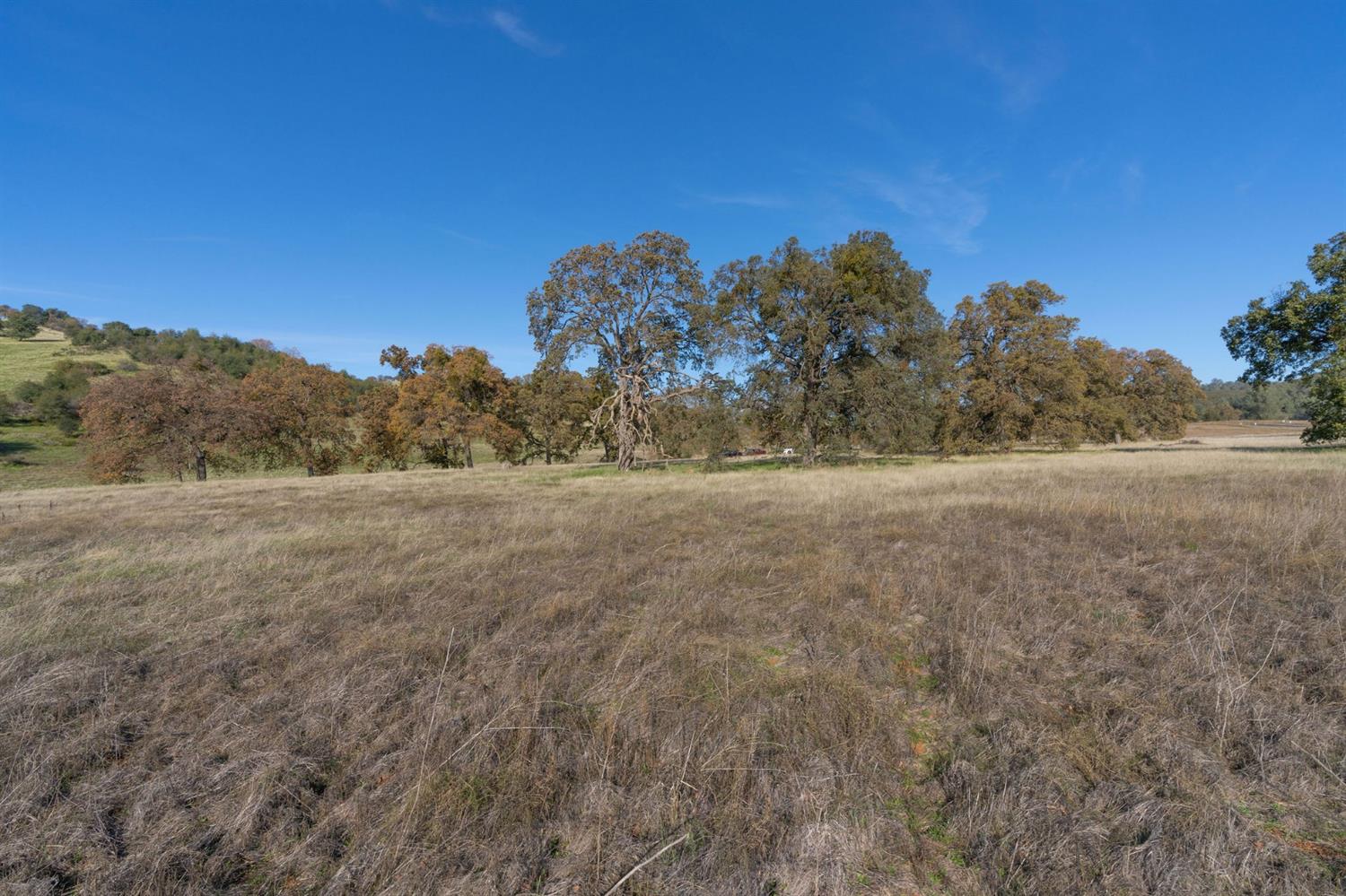 2591 Highway 4, Angels Camp, California 95222, ,Land,For Sale,Highway 4,2005267