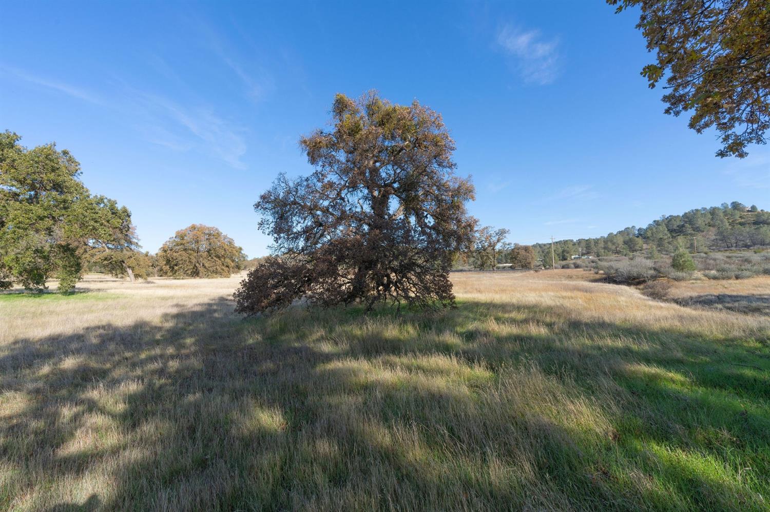 2591 Highway 4, Angels Camp, California 95222, ,Land,For Sale,Highway 4,2005267