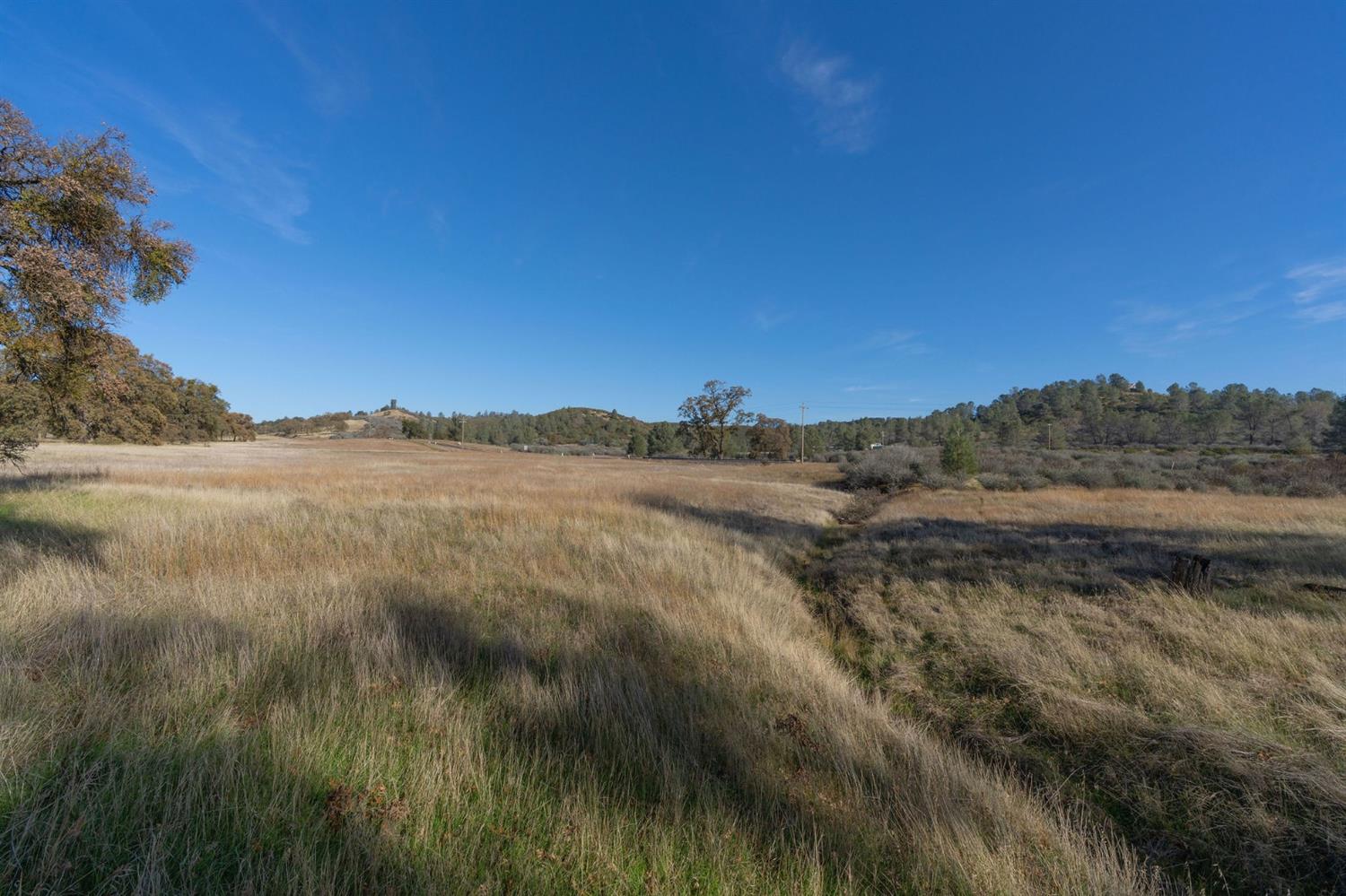 2591 Highway 4, Angels Camp, California 95222, ,Land,For Sale,Highway 4,2005267