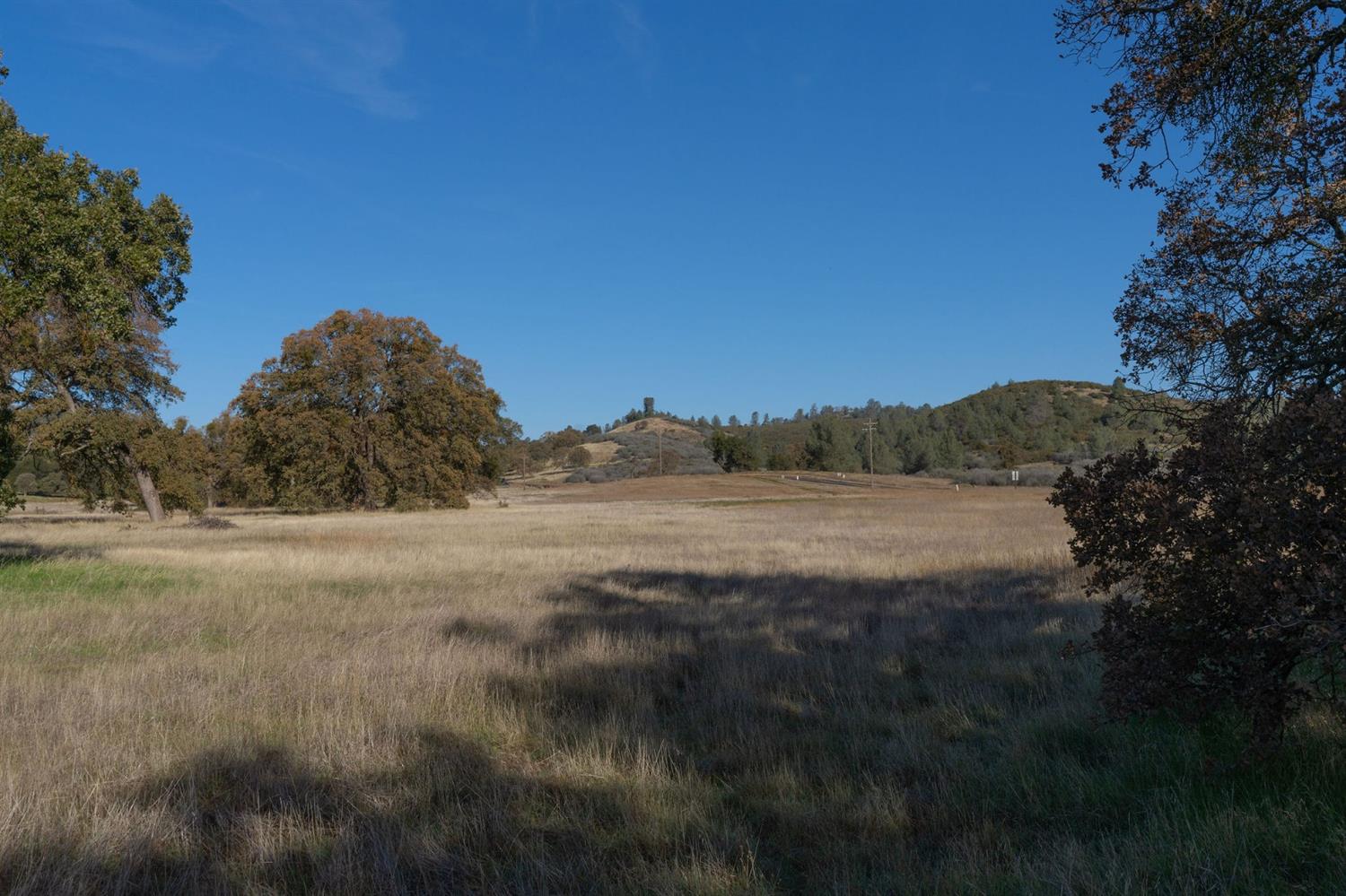 2591 Highway 4, Angels Camp, California 95222, ,Land,For Sale,Highway 4,2005267