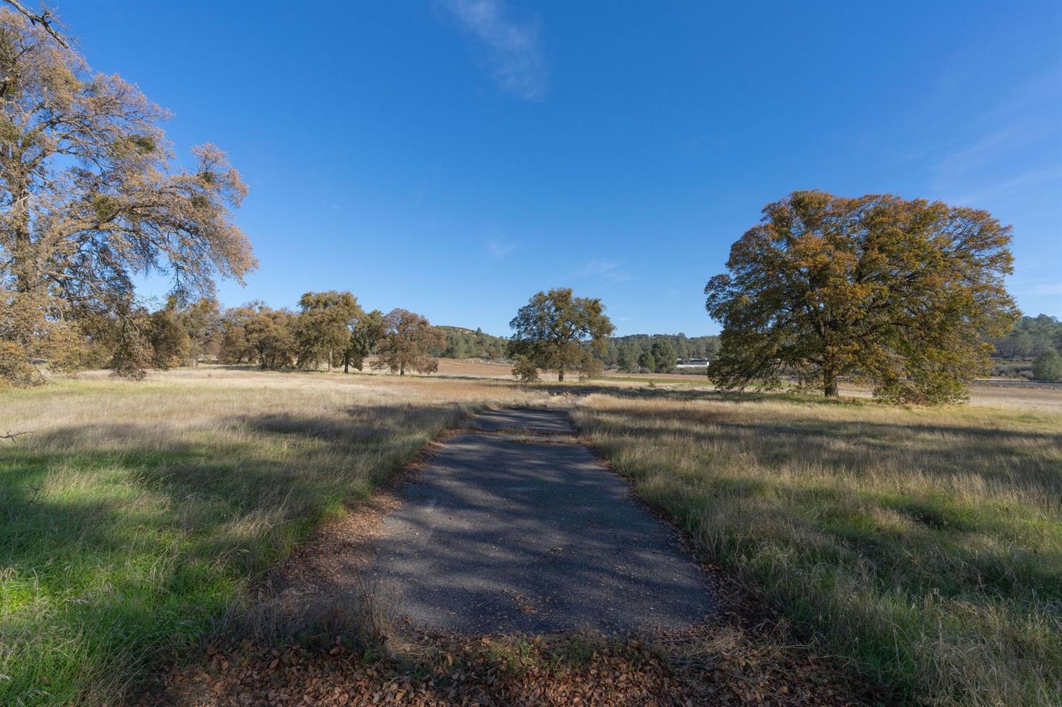 2591 Highway 4, Angels Camp, California 95222, ,Land,For Sale,Highway 4,2005267