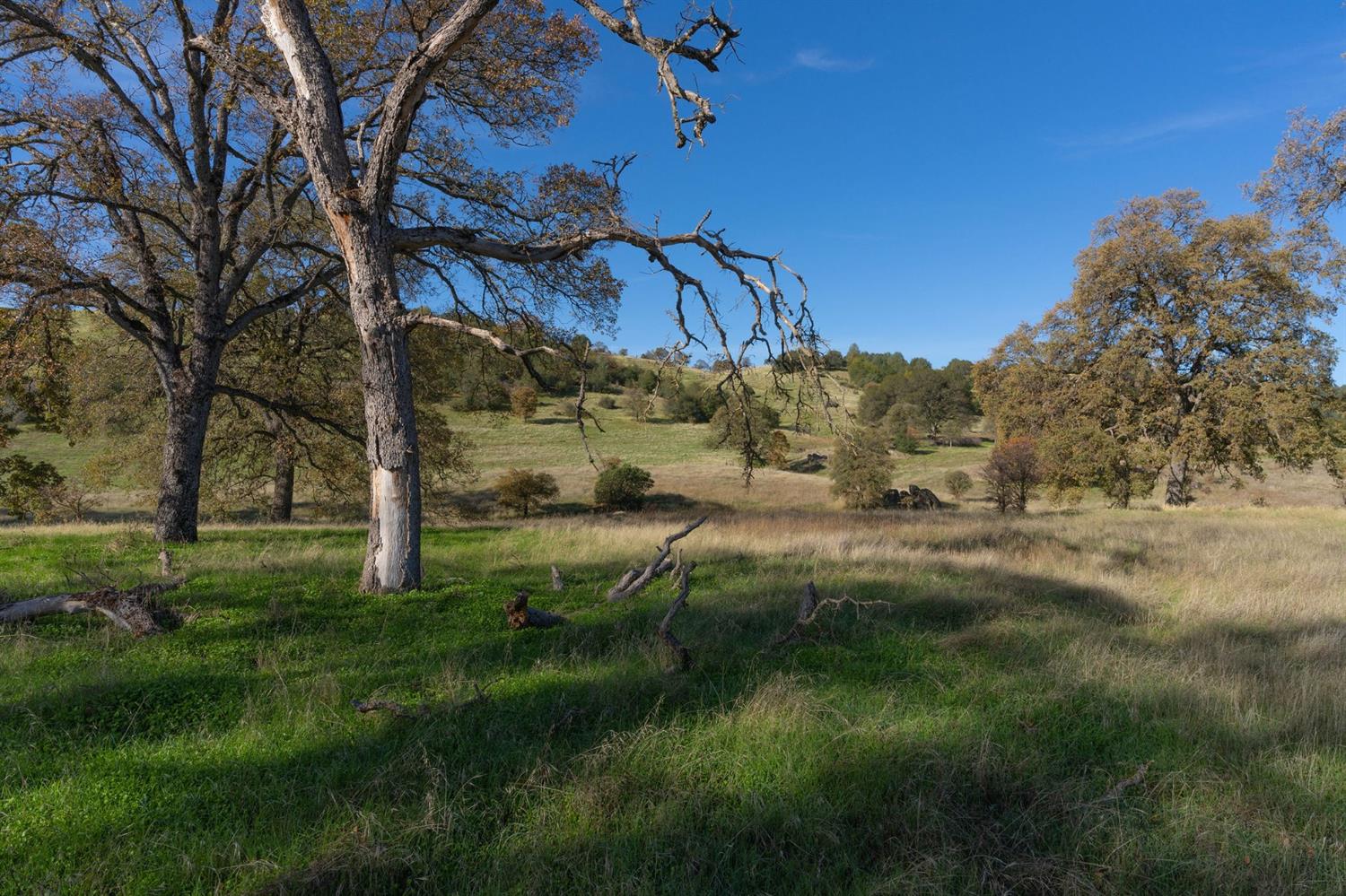 2591 Highway 4, Angels Camp, California 95222, ,Land,For Sale,Highway 4,2005267