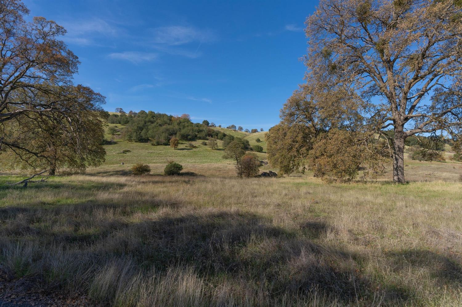 2591 Highway 4, Angels Camp, California 95222, ,Land,For Sale,Highway 4,2005267