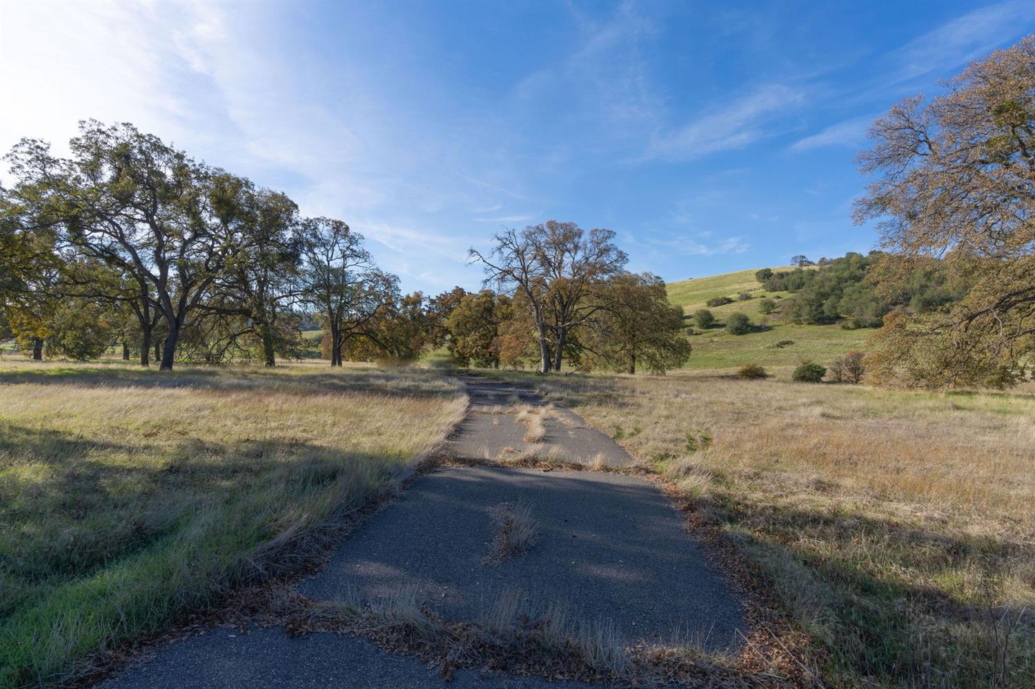 2591 Highway 4, Angels Camp, California 95222, ,Land,For Sale,Highway 4,2005267