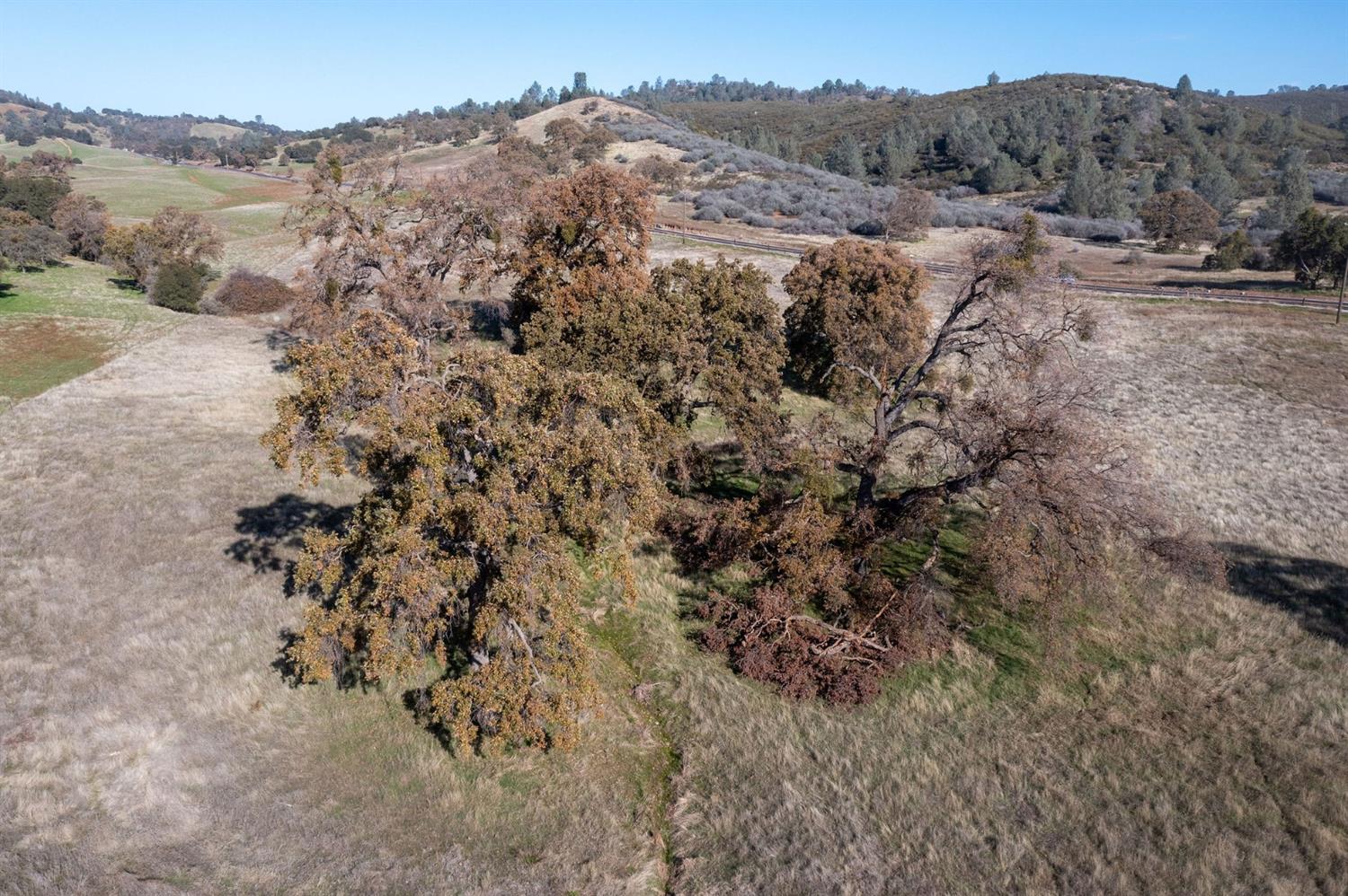 2591 Highway 4, Angels Camp, California 95222, ,Land,For Sale,Highway 4,2005267