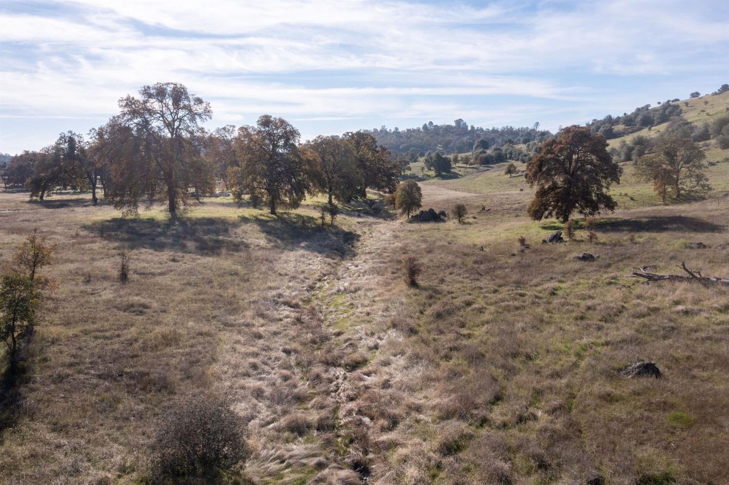 2591 Highway 4, Angels Camp, California 95222, ,Land,For Sale,Highway 4,2005267