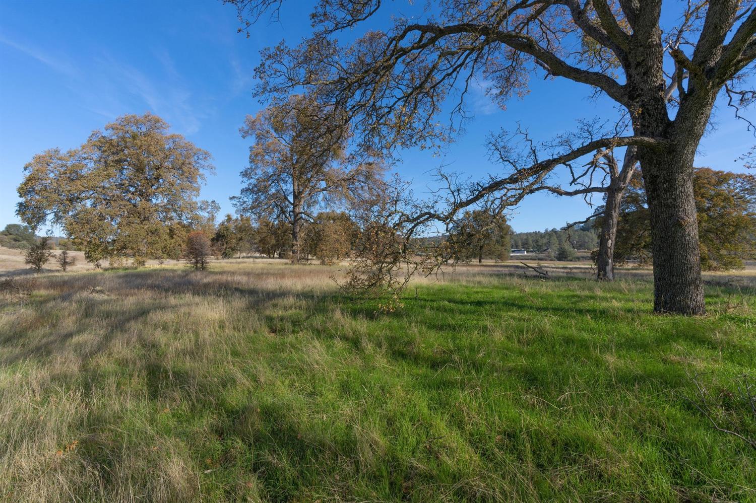 2591 Highway 4, Angels Camp, California 95222, ,Land,For Sale,Highway 4,2005267