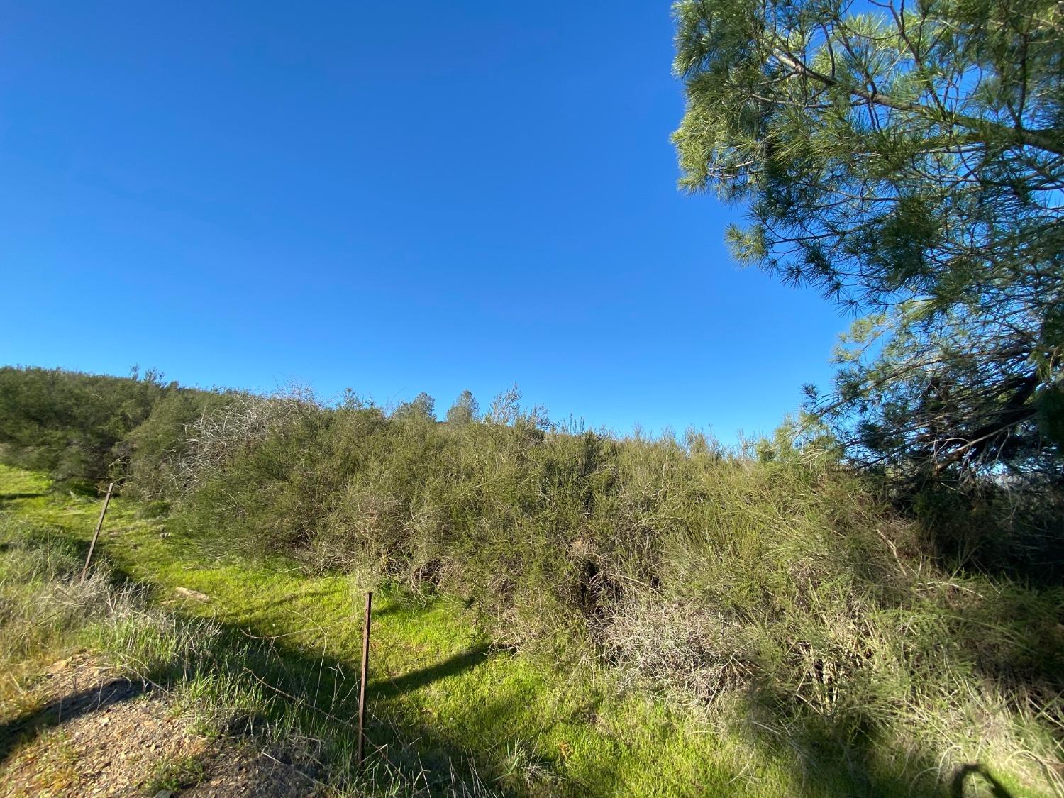 0 Hogan Dam Road, Valley Springs, California 95252, ,Land,For Sale,Hogan Dam,2005572