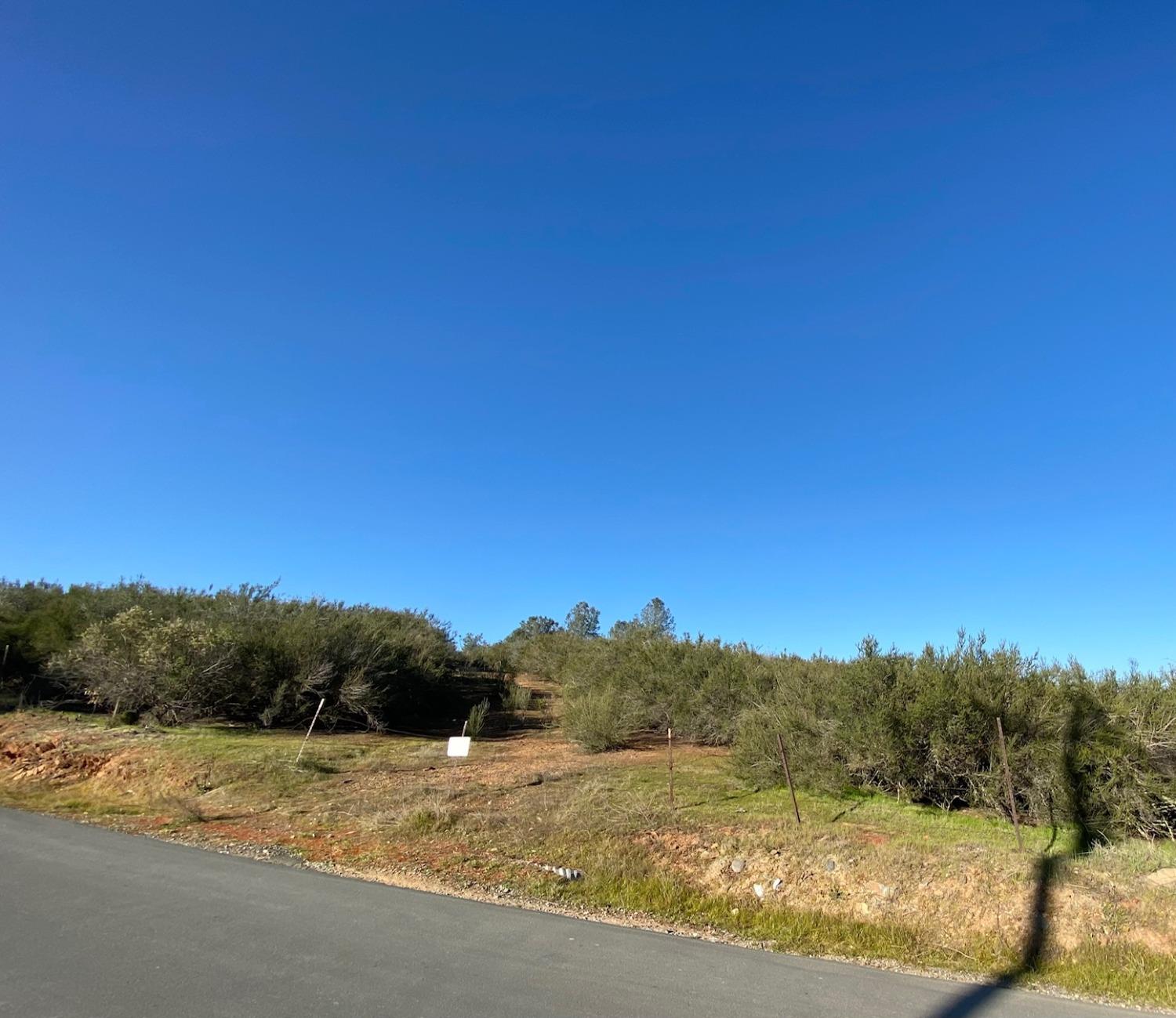 0 Hogan Dam Road, Valley Springs, California 95252, ,Land,For Sale,Hogan Dam,2005572