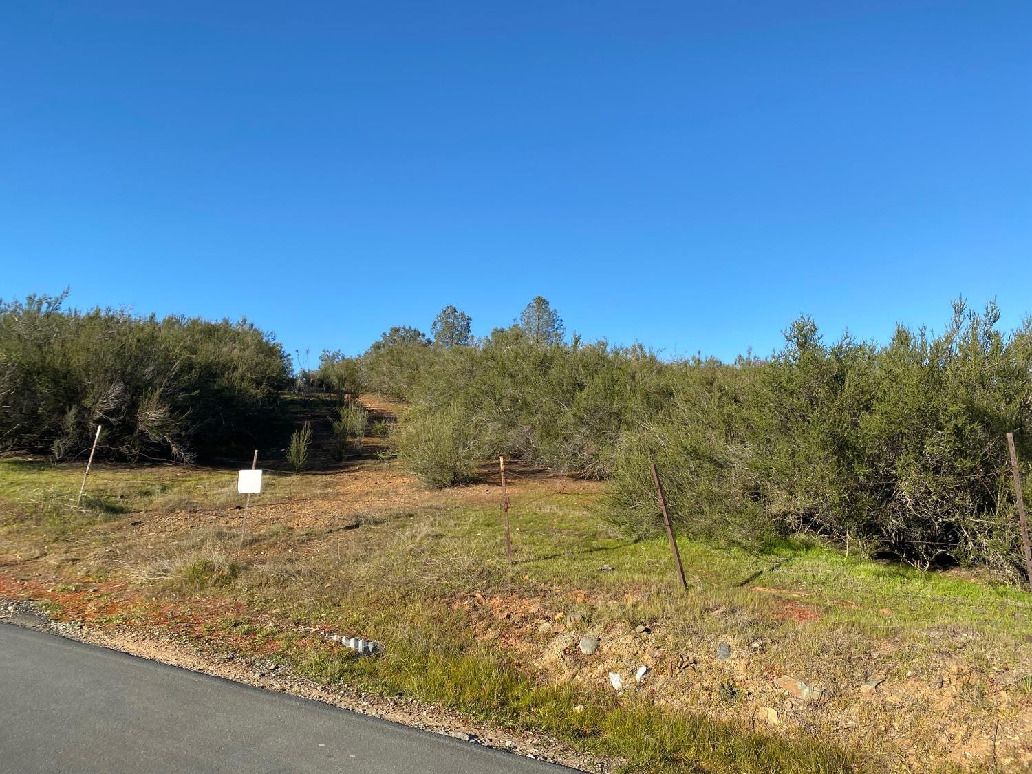 0 Hogan Dam Road, Valley Springs, California 95252, ,Land,For Sale,Hogan Dam,2005572