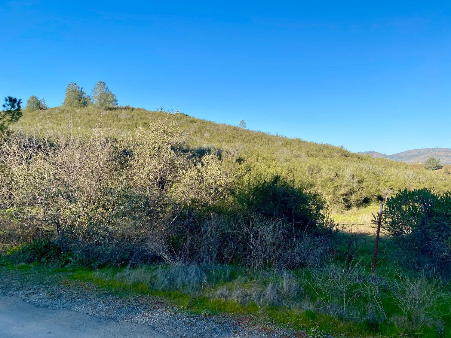 0 Hogan Dam Road, Valley Springs, California 95252, ,Land,For Sale,Hogan Dam,2005572