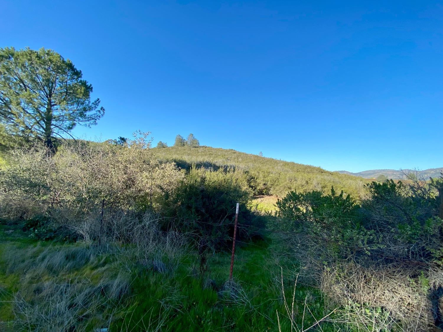 0 Hogan Dam Road, Valley Springs, California 95252, ,Land,For Sale,Hogan Dam,2005572