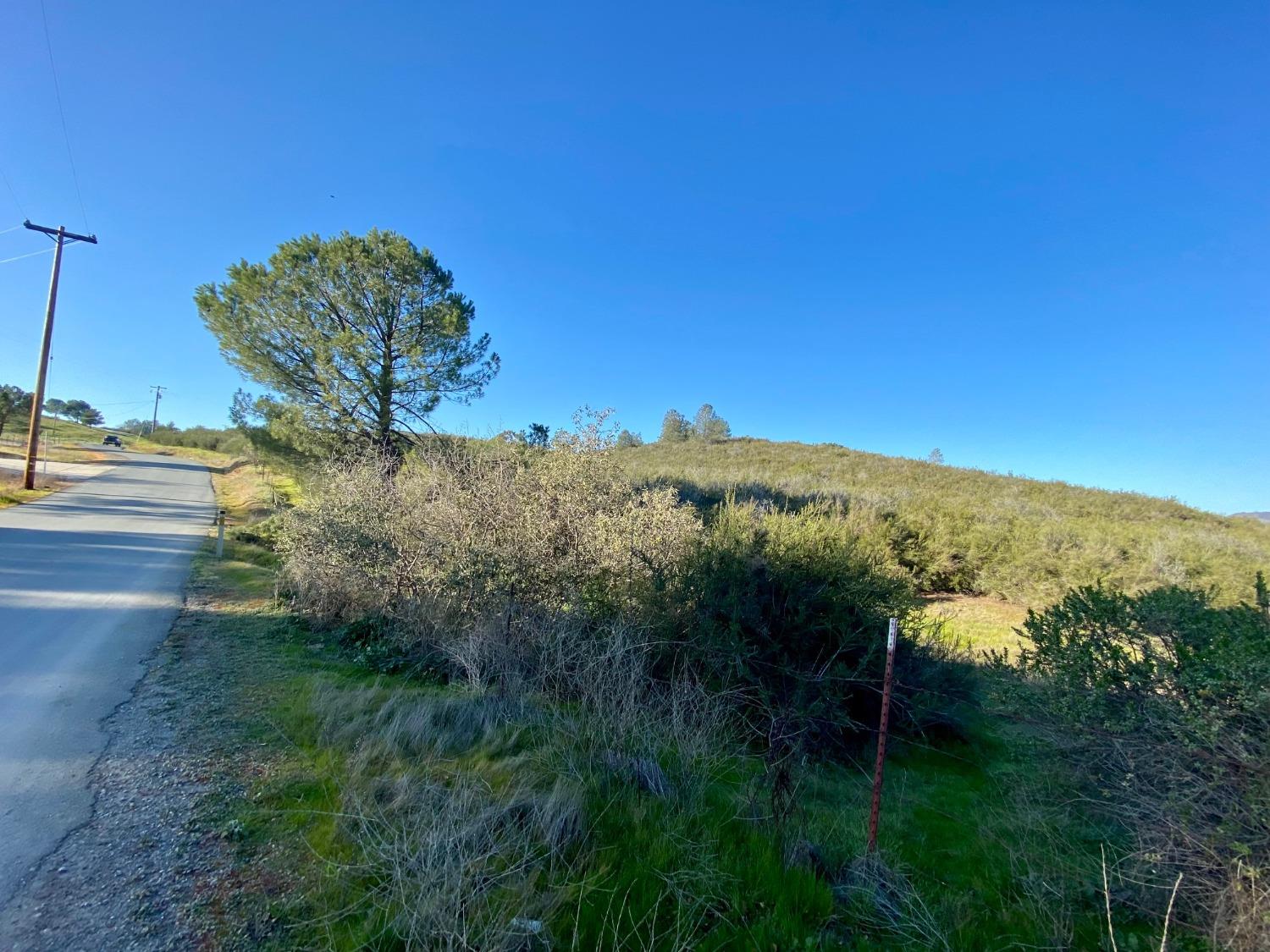 0 Hogan Dam Road, Valley Springs, California 95252, ,Land,For Sale,Hogan Dam,2005572