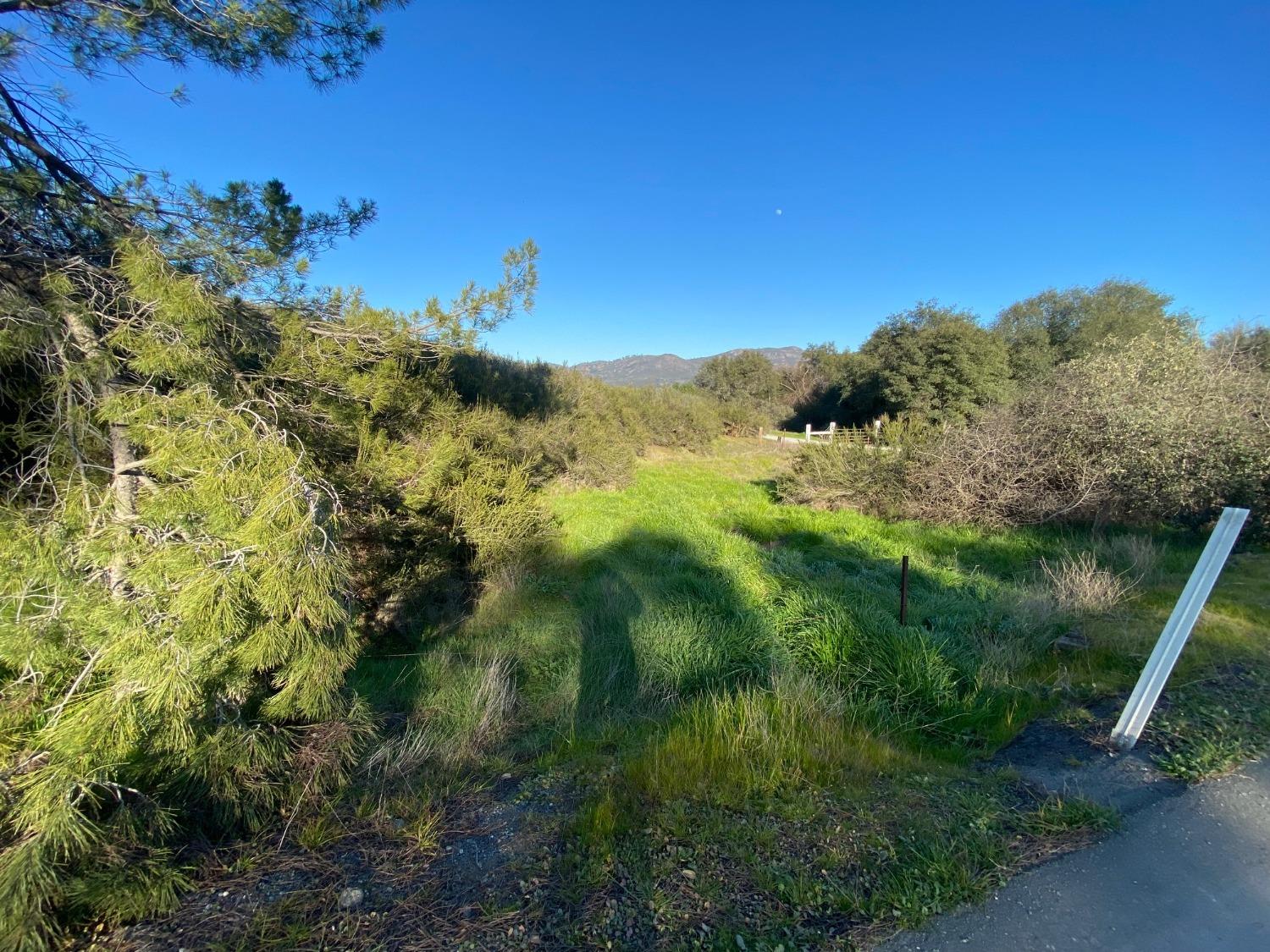 0 Hogan Dam Road, Valley Springs, California 95252, ,Land,For Sale,Hogan Dam,2005572