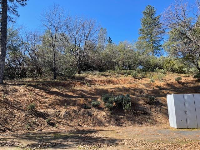 0 Forest View, Murphys, California 95247, ,Land,For Sale,Forest View,2005716