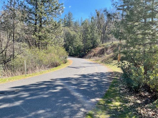 0 Forest View, Murphys, California 95247, ,Land,For Sale,Forest View,2005716