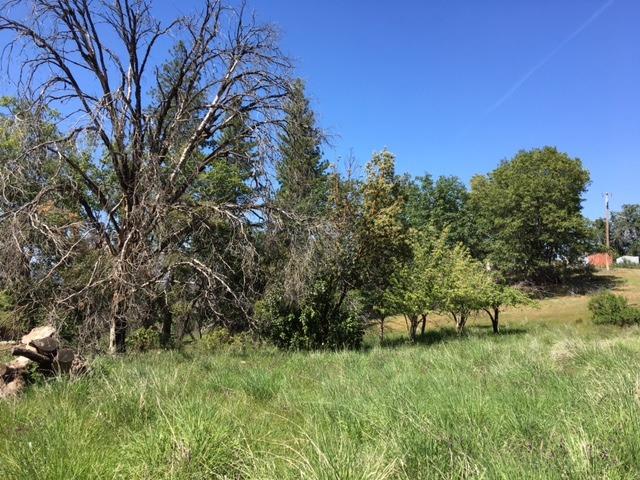 7495 Doster Road, Mountain Ranch, California 95246, ,Land,For Sale,Doster,2006174