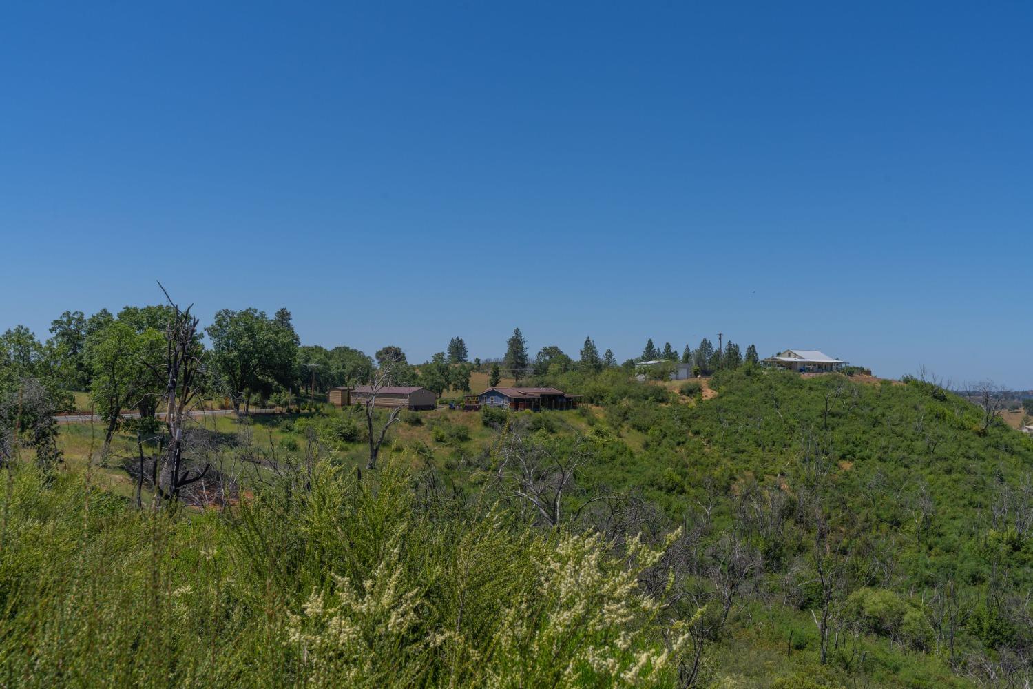 13231 Hwy 26, Glencoe, California 95232, ,Land,For Sale,Hwy 26,2006356