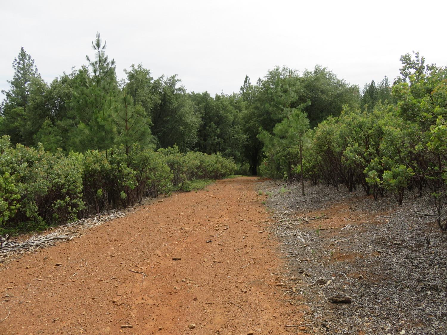 586 Wolverine Mine Road, Glencoe, California 95232, ,Land,For Sale,Wolverine Mine,2006489