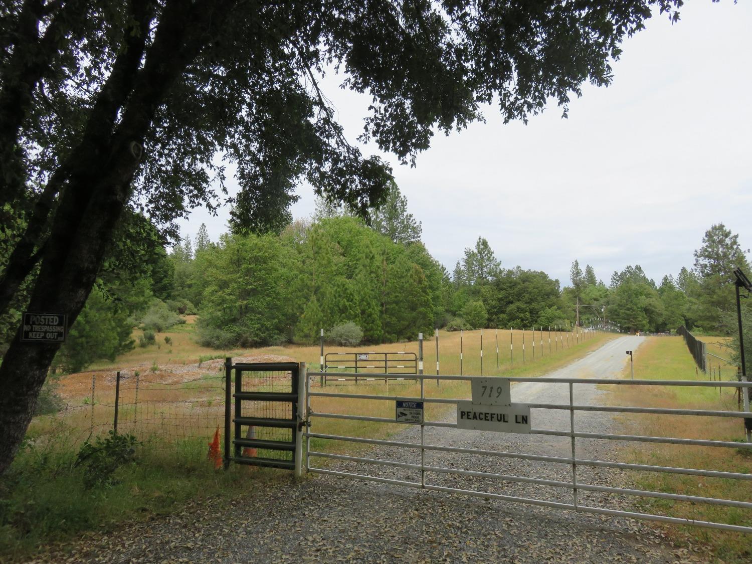 586 Wolverine Mine Road, Glencoe, California 95232, ,Land,For Sale,Wolverine Mine,2006489