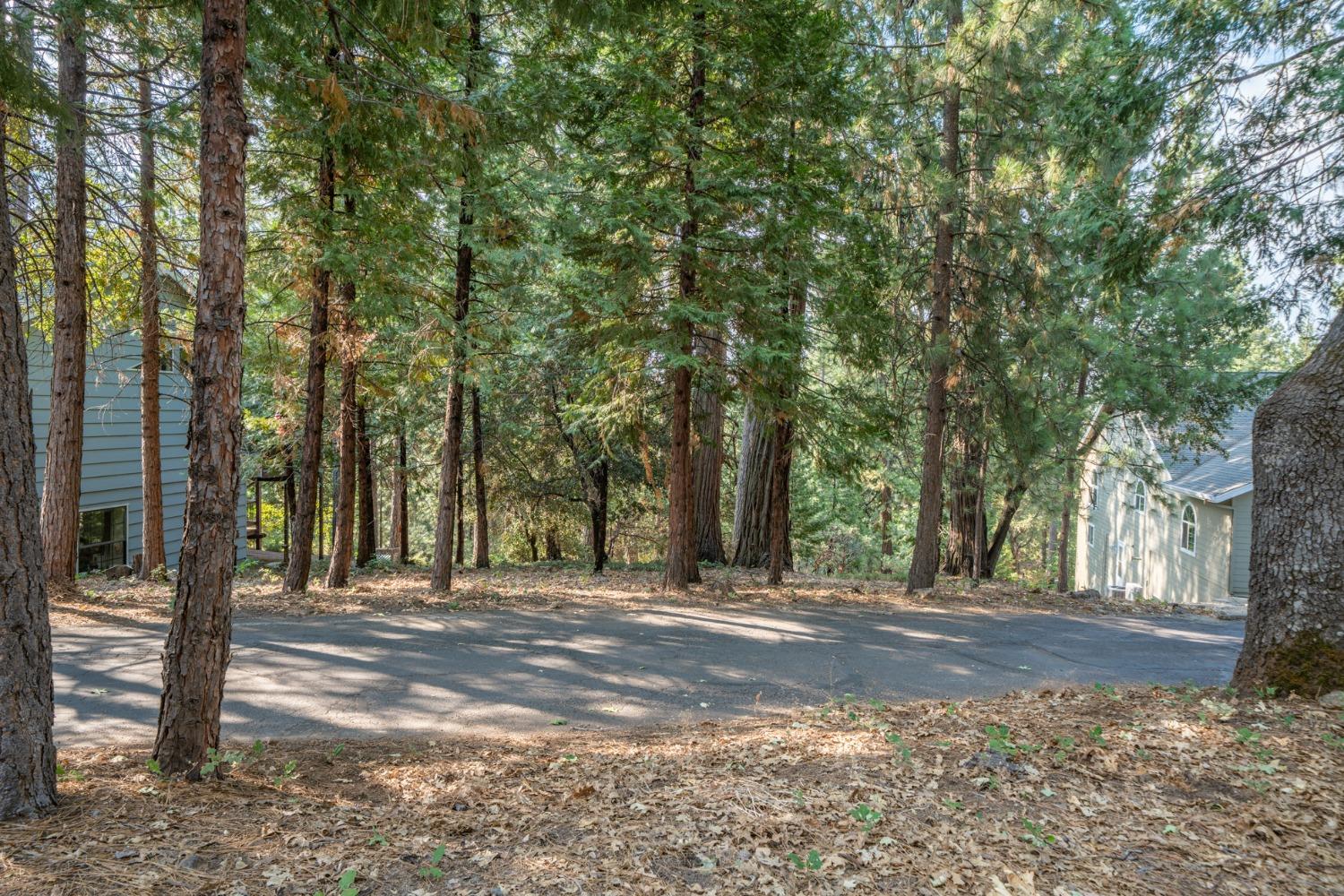 51 Canterwood Lane, Murphys, California 95247, ,Land,For Sale,Canterwood,2006853