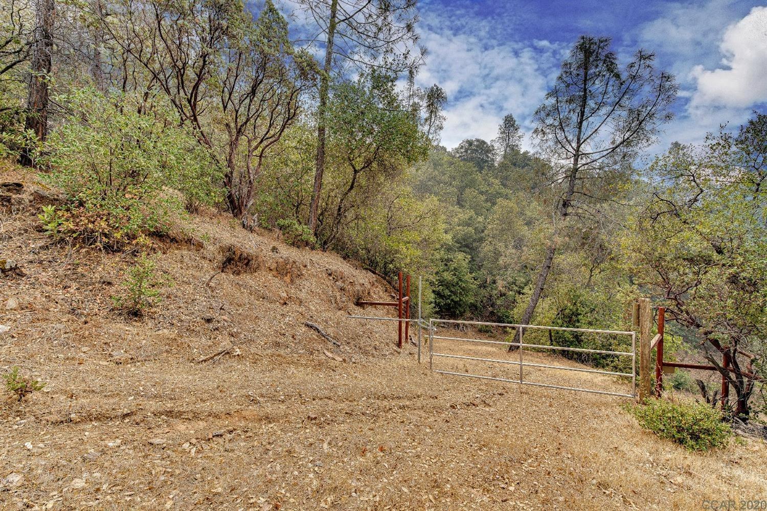 6411 Pappalardo Promenade, Murphys, California 95247, ,Land,For Sale,Pappalardo Promenade,2006987