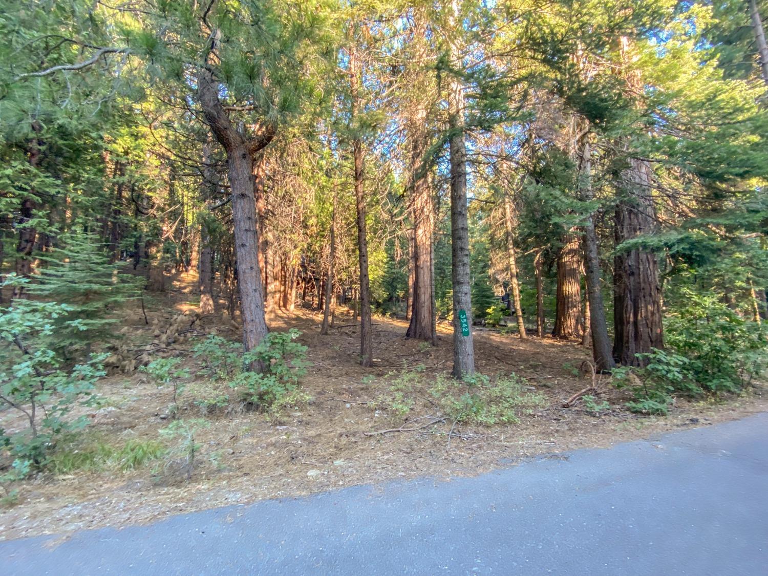 3452 Gardner Flat Road, Dorrington, California 95223, ,Land,For Sale,Gardner Flat,2007083