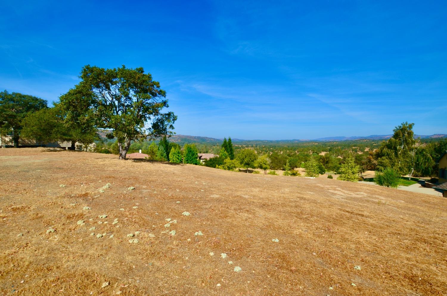 186 Leaf Crest, Copperopolis, California 95228, ,Land,For Sale,Leaf Crest,2007357