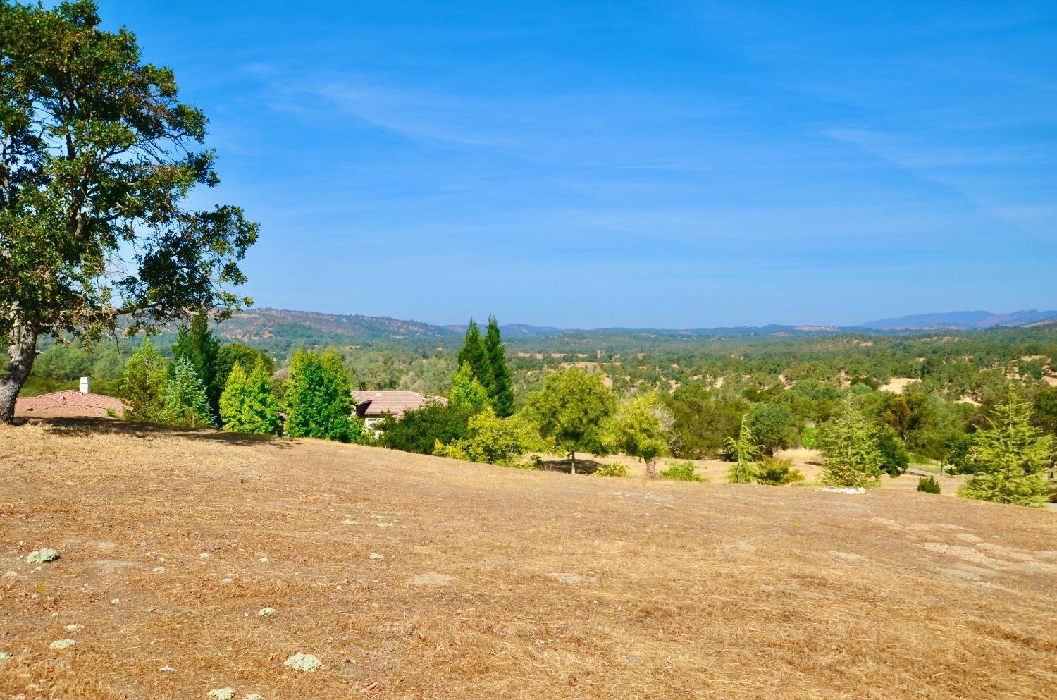 186 Leaf Crest, Copperopolis, California 95228, ,Land,For Sale,Leaf Crest,2007357