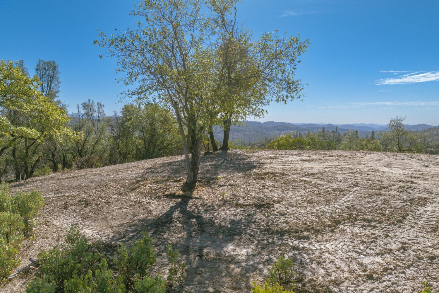 0 00 Tanner St., Murphys, California 95247, ,Land,For Sale,00 Tanner St.,2007375