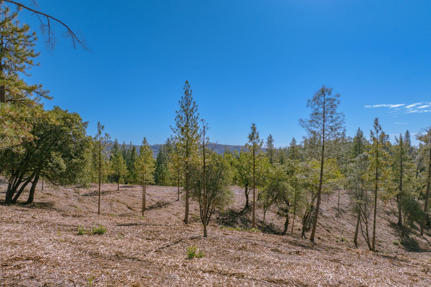 0 00 Tanner St., Murphys, California 95247, ,Land,For Sale,00 Tanner St.,2007375