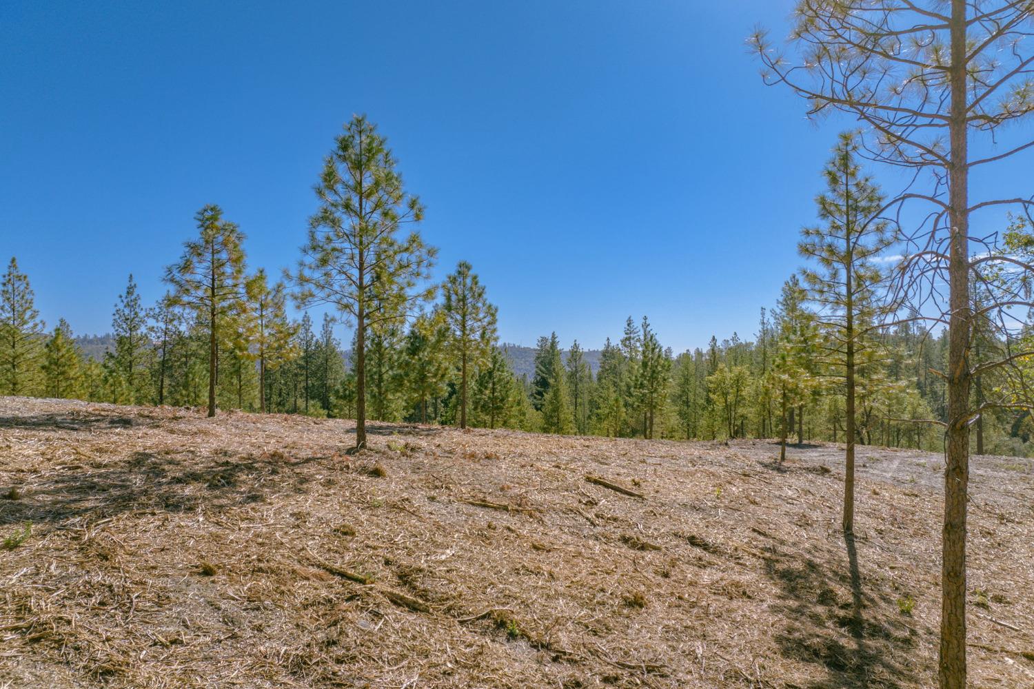 0 00 Tanner St., Murphys, California 95247, ,Land,For Sale,00 Tanner St.,2007375