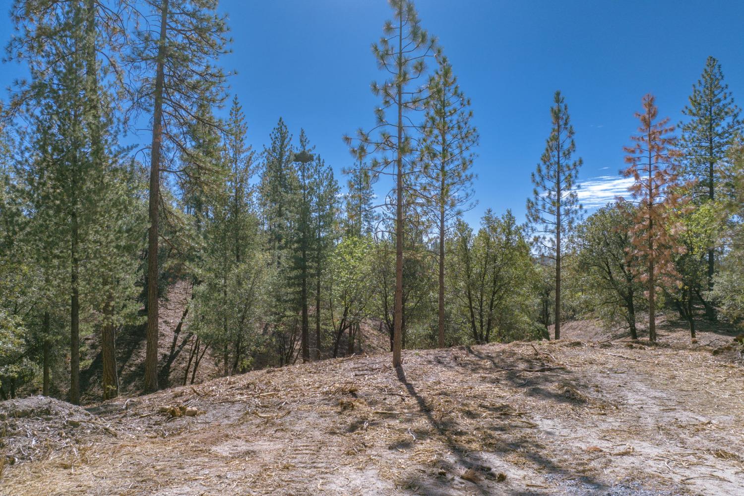 0 00 Tanner St., Murphys, California 95247, ,Land,For Sale,00 Tanner St.,2007375