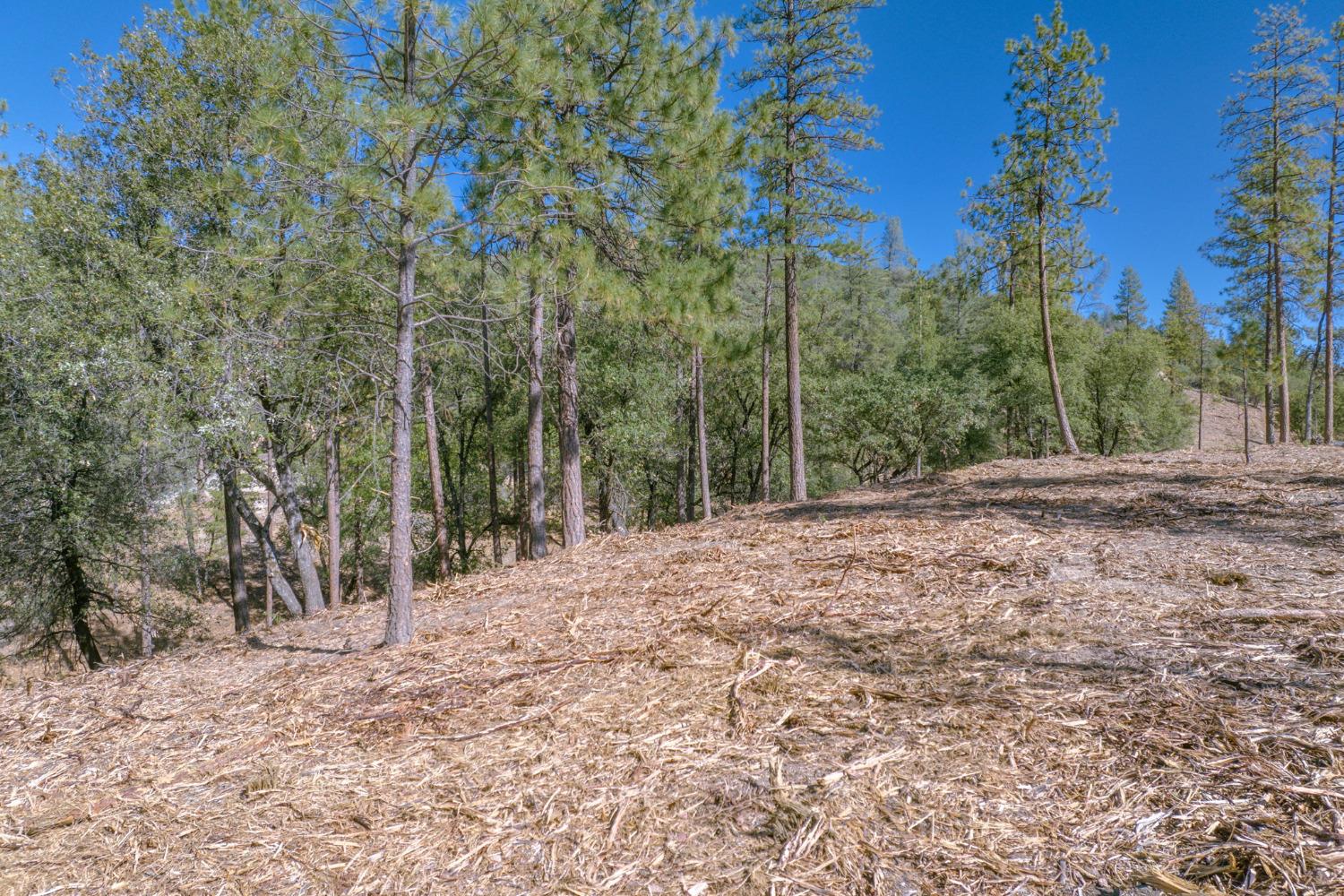 0 00 Tanner St., Murphys, California 95247, ,Land,For Sale,00 Tanner St.,2007375