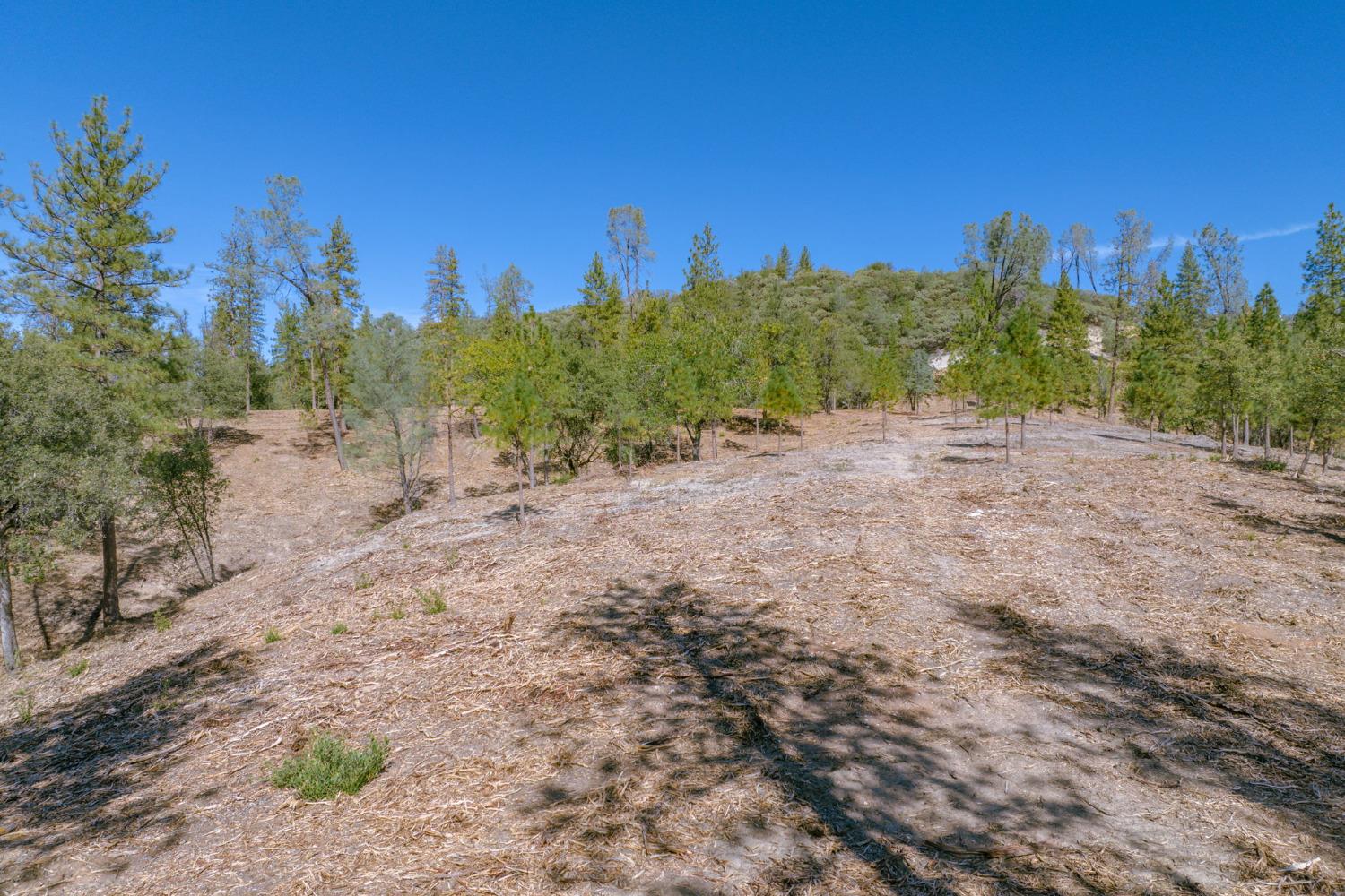 0 00 Tanner St., Murphys, California 95247, ,Land,For Sale,00 Tanner St.,2007375