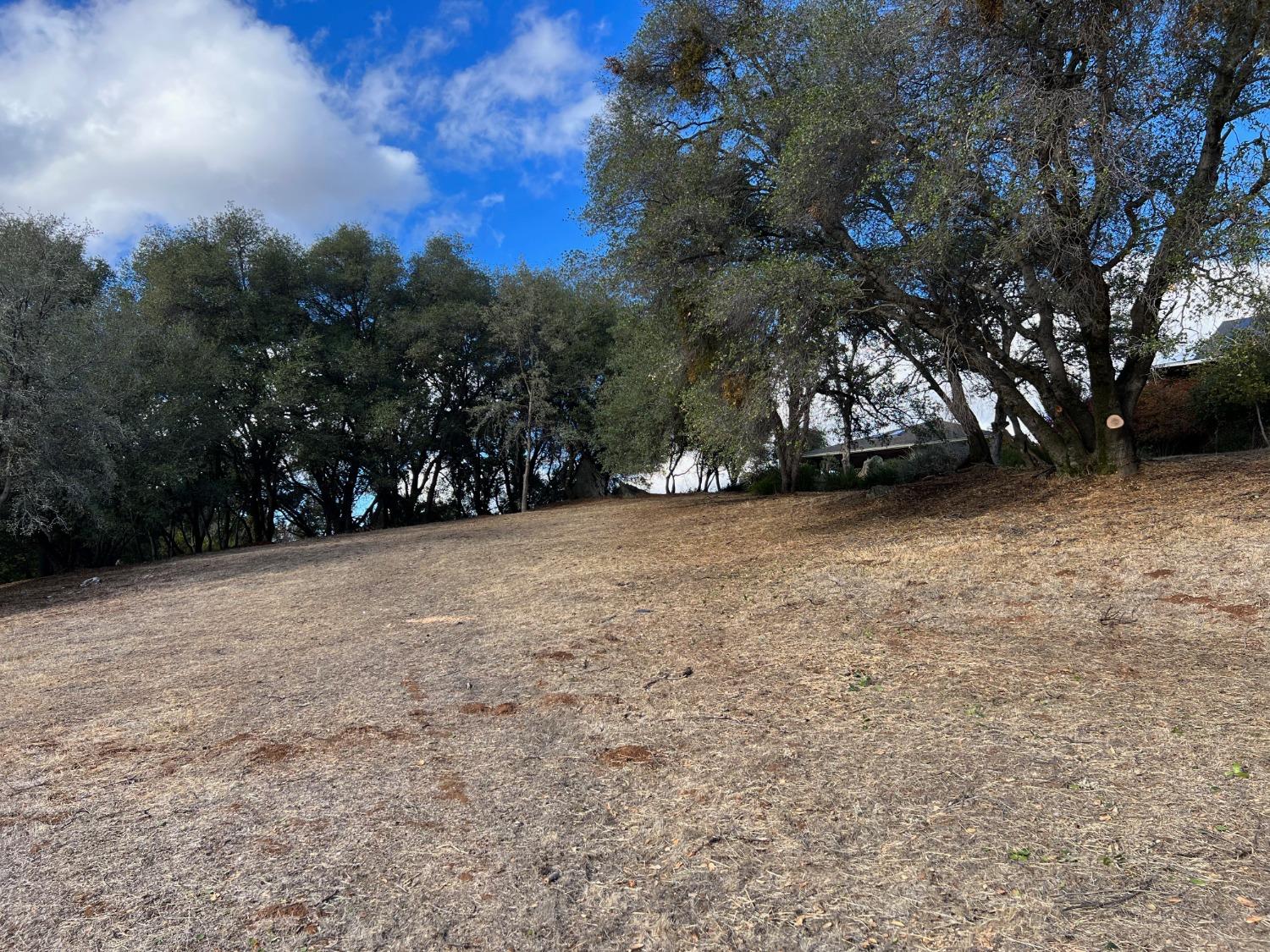 559 Springhouse Road, Angels Camp, California 95222, ,Land,For Sale,Springhouse,2007419