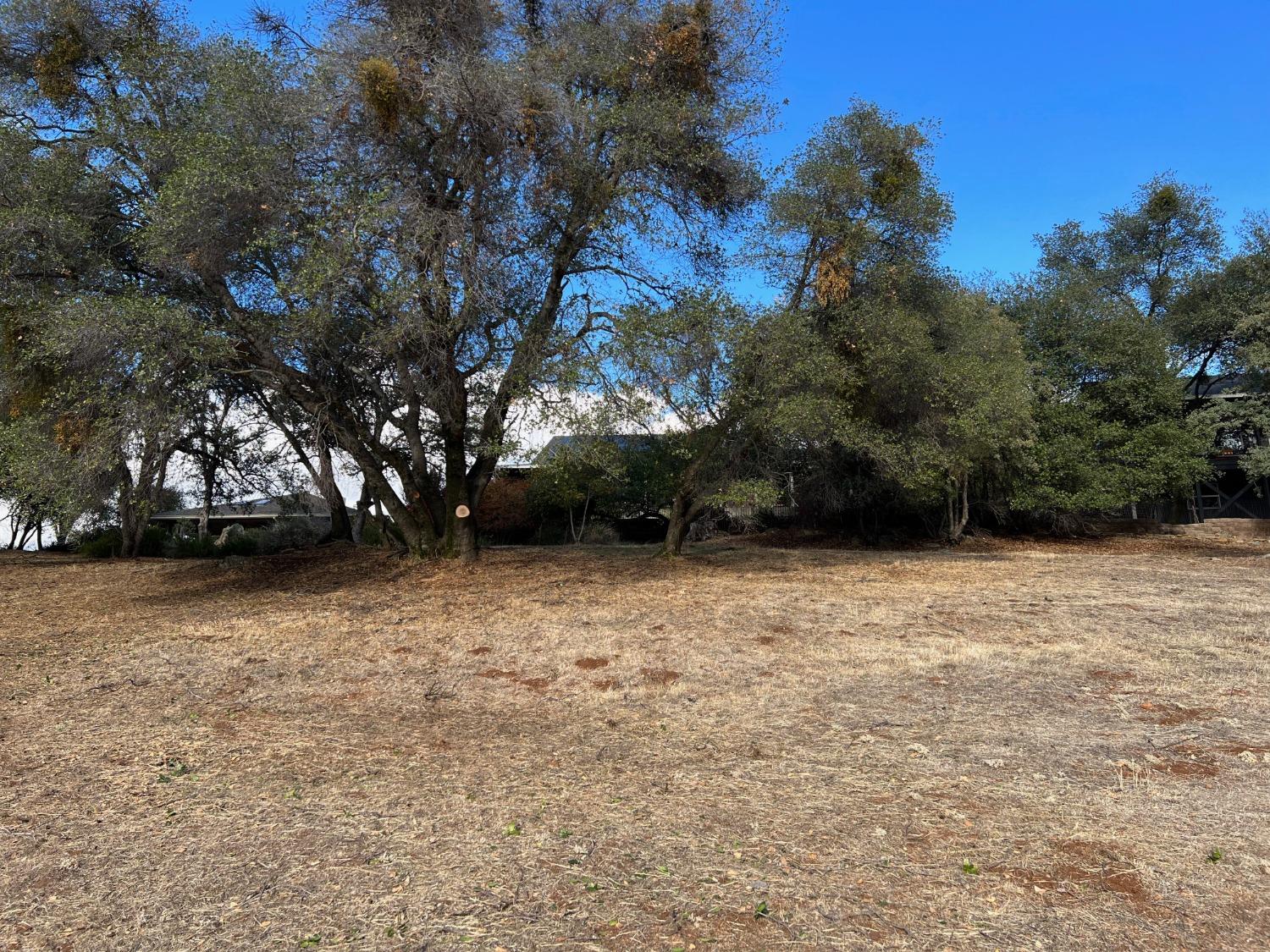 559 Springhouse Road, Angels Camp, California 95222, ,Land,For Sale,Springhouse,2007419