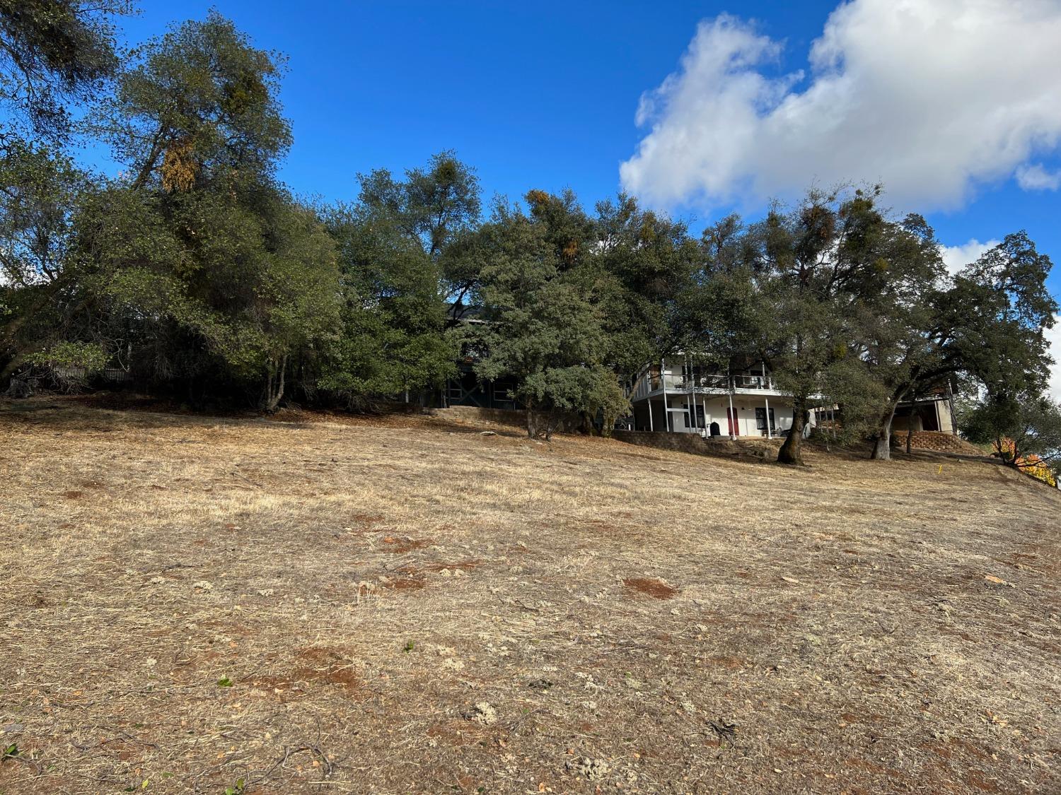 559 Springhouse Road, Angels Camp, California 95222, ,Land,For Sale,Springhouse,2007419