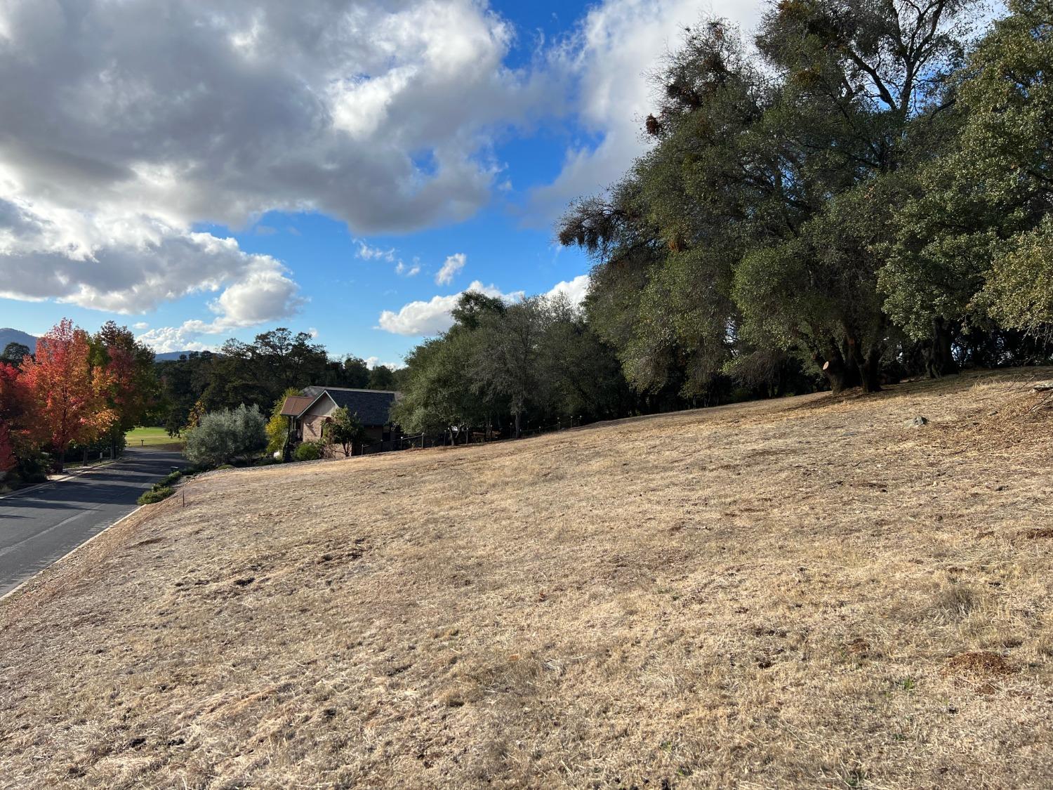 559 Springhouse Road, Angels Camp, California 95222, ,Land,For Sale,Springhouse,2007419