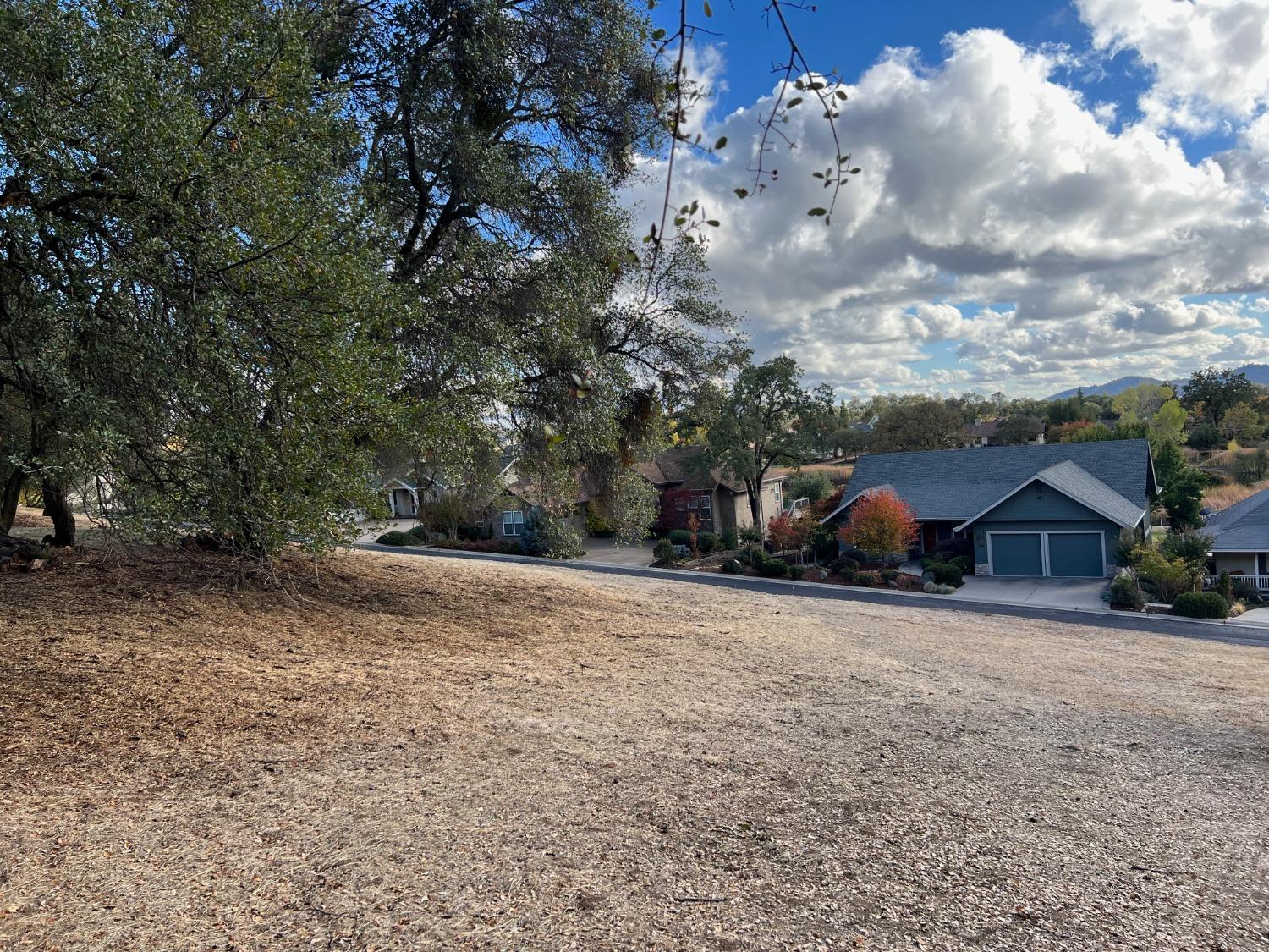 559 Springhouse Road, Angels Camp, California 95222, ,Land,For Sale,Springhouse,2007419