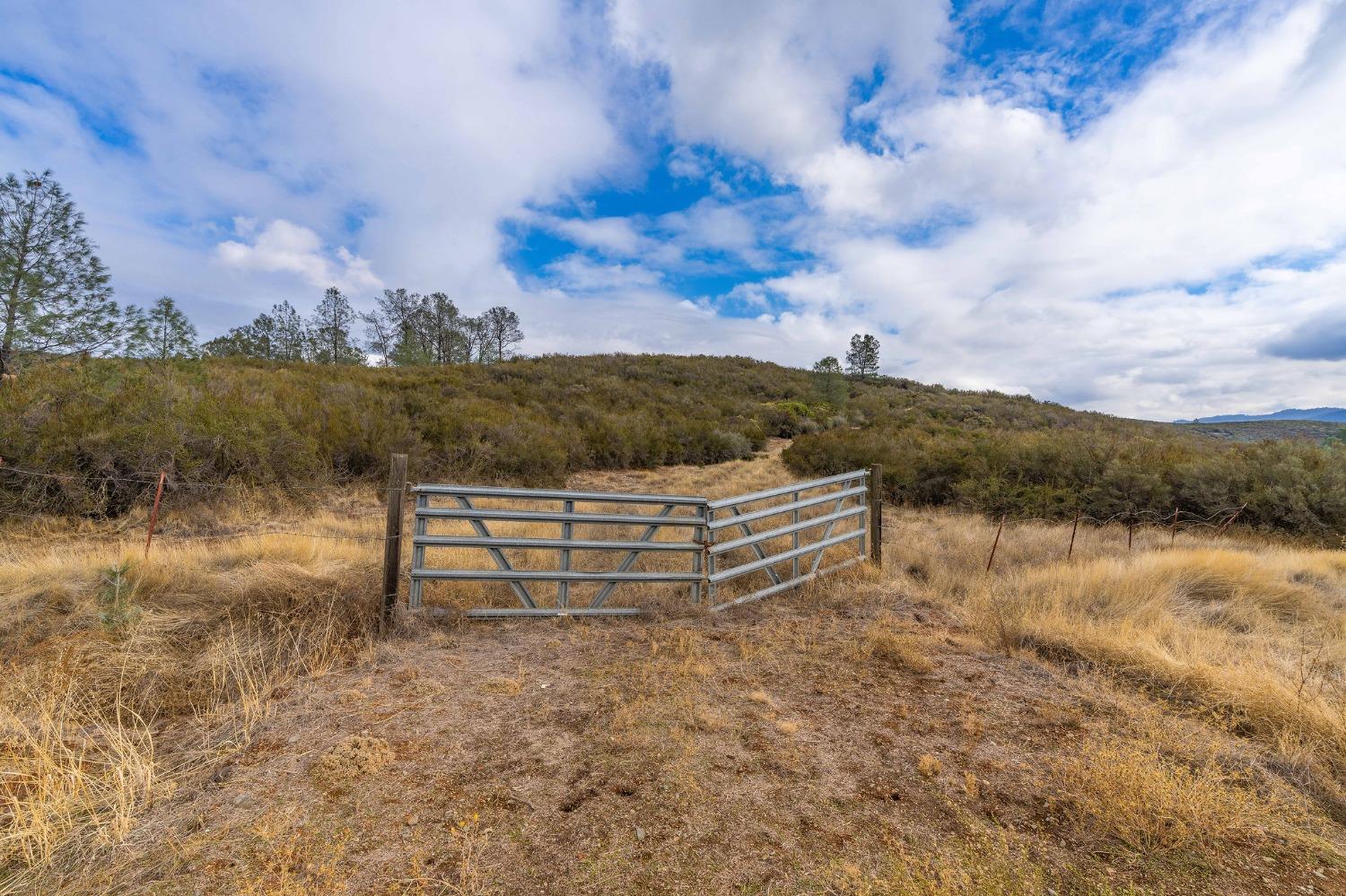 0 Ranchero, Valley Springs, California 95252, ,Land,For Sale,Ranchero,2007449