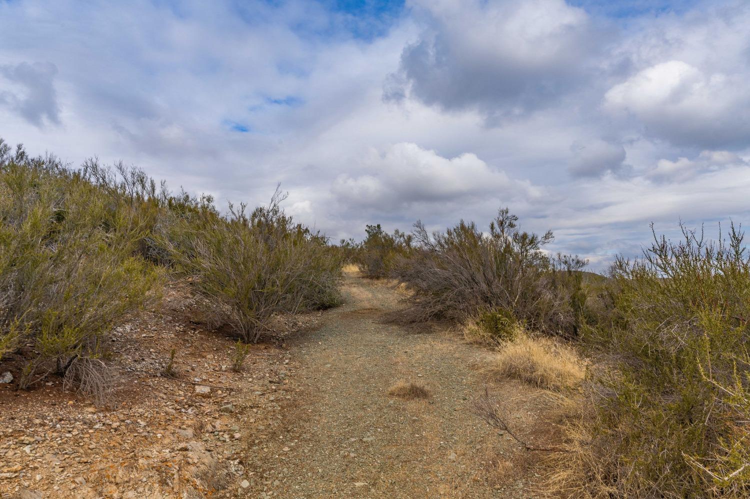 0 Ranchero, Valley Springs, California 95252, ,Land,For Sale,Ranchero,2007449