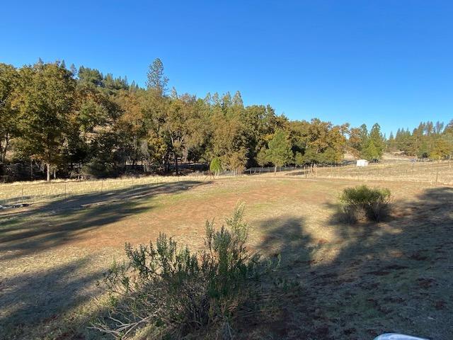 6780 Michel Road, Mountain Ranch, California 95246, ,Land,For Sale,Michel,2007469