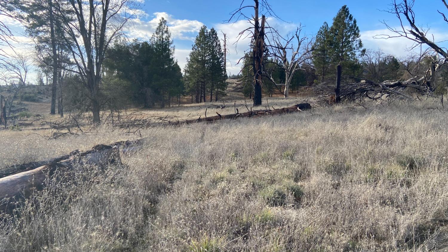 5028 Old Emigrant T., Mountain Ranch, California 95246, ,Land,For Sale,Old Emigrant T.,2007511